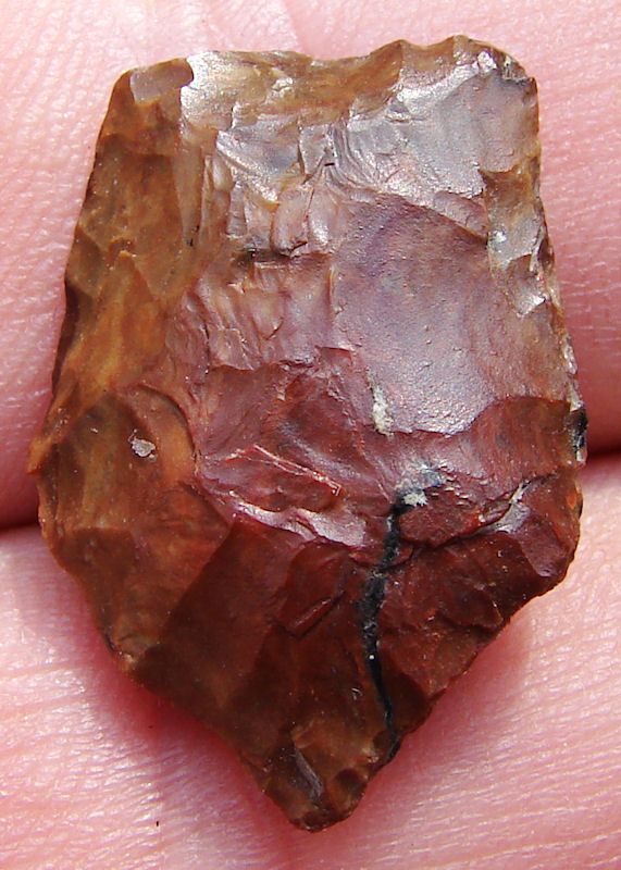 ARROWHEAD BIGGS JASPER SPEDIS PALEO DART POINT JD 1002  