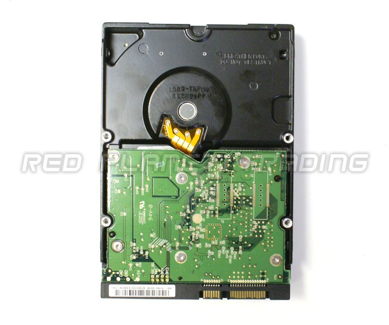 Western Digital Raptor WD800ADFD 80GB SATA 10K RPM HDD  