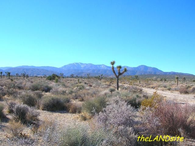  link saddleback butte link antelope valley link antelope valley 