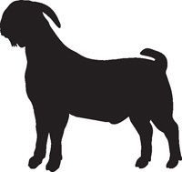 BOER GOAT #10 Vinyl Sticker Decal animal silhouette car  