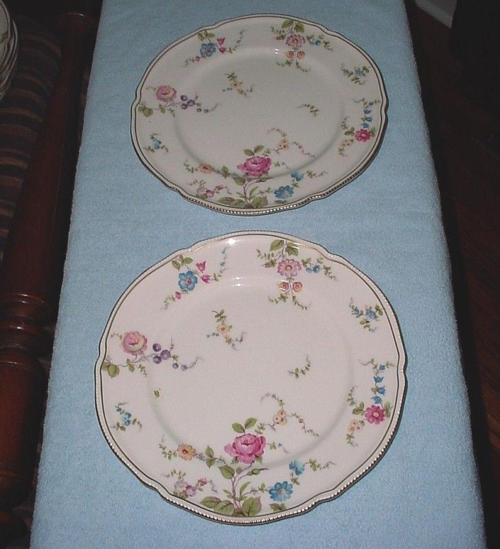 Castleton China Sunnyvale 10 5/8 Dinner Plates Set/2  