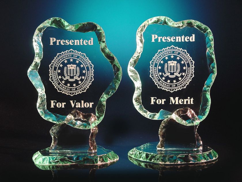 CIA, FBI or DEA LOGO / SEAL   ETCHED GLASS AWARD  