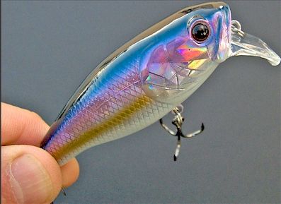 deps Buzzjet Jr. ~ Topwater ~ American Shad  