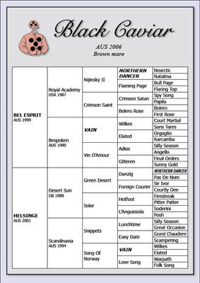 BLACK CAVIAR PEDIGREE CHART horse racing memorabilia  