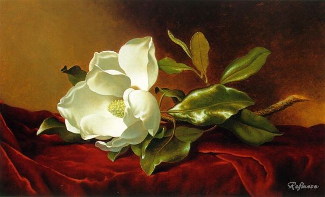 Martin Heade A Magnolia on Red Velvet Painting repro  