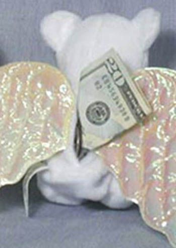 Angel Photo Picture Pocket Bears