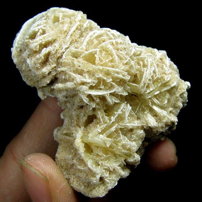 Gypsum Crystal Desert Rose Specimen gygx9ie1666  