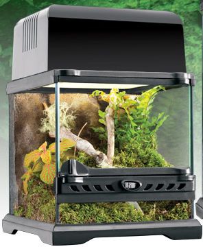 Exo Terra Nano Terrarium Wide  