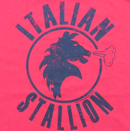 Rocky Movies Rocky Balboa Italian Stallion Logo T Shirt  