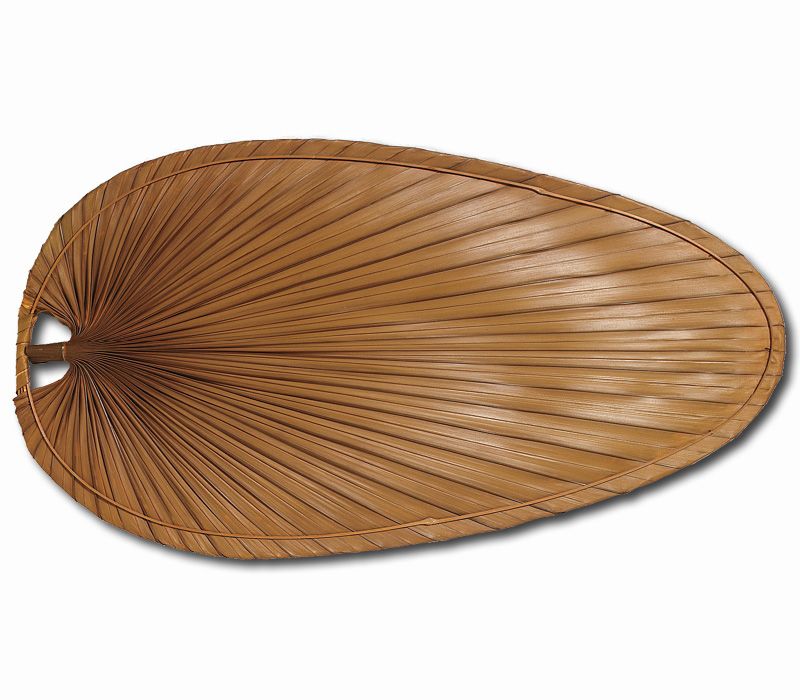 Fanimation 22 Narrow Oval Red/Brown Palm Leaf Blades  