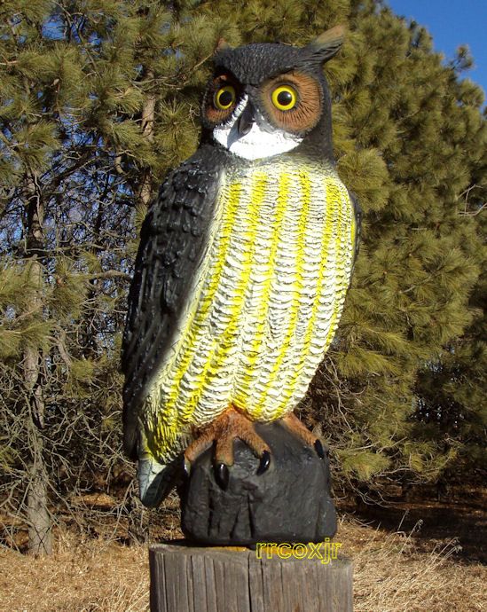 CARRY LITE GREAT HORNED OWL DECOY CROW HUNTING GARDEN SCARECROW 20 